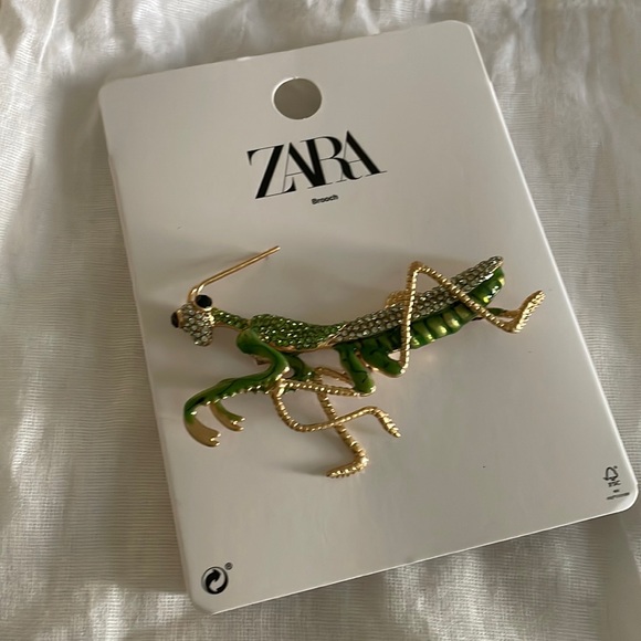 Zara Jewelry - Zara premanthis brooch